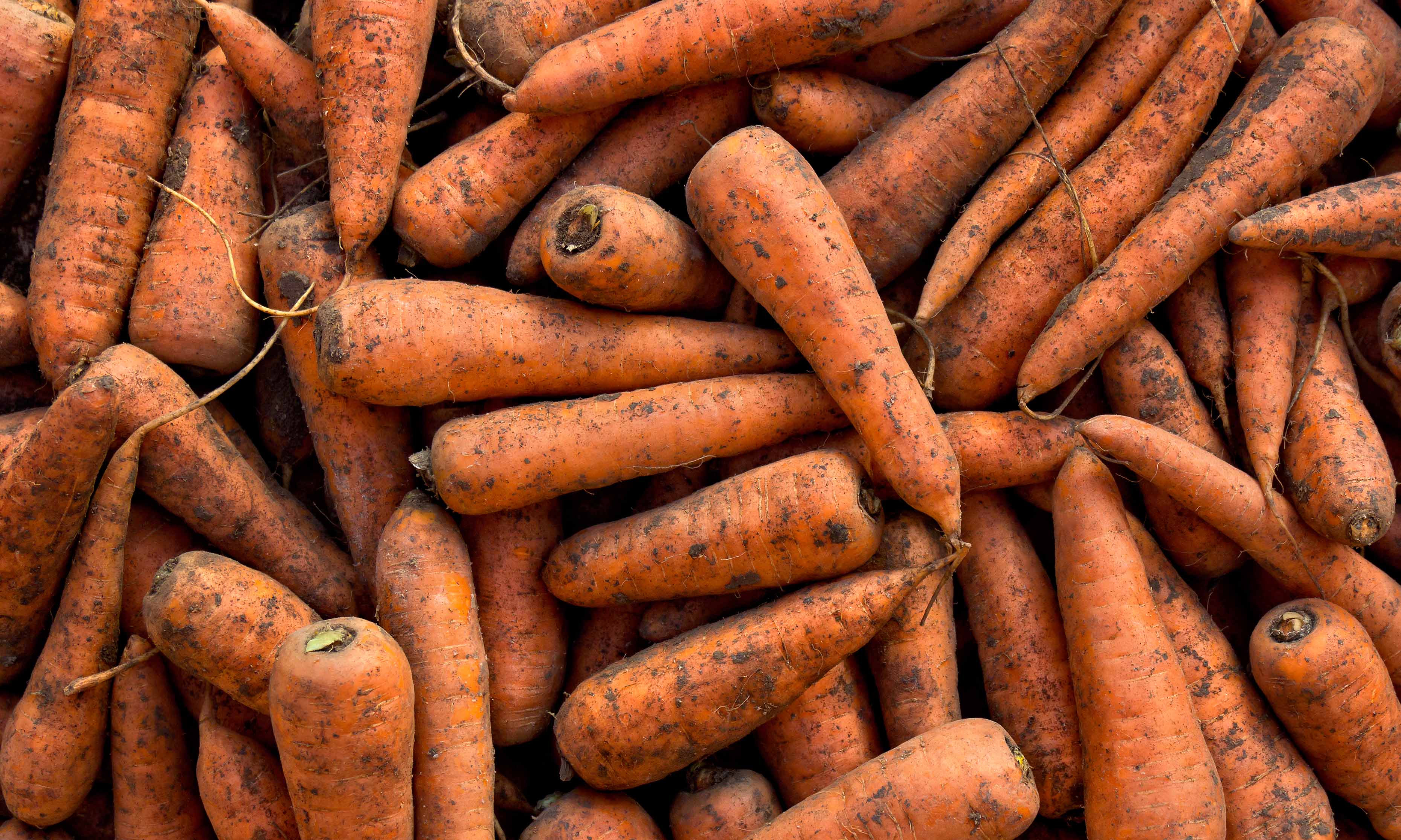 Ken jij het verschil tussen gewassen en ongewassen wortelen?