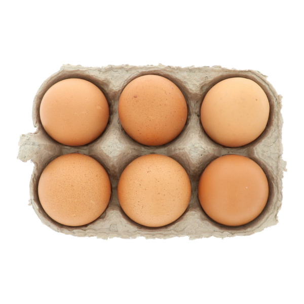 Bio eieren kopen | BE O