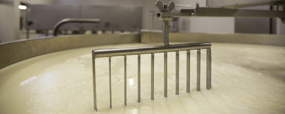 bio kaas kopen rauw ongepasteuriseerd